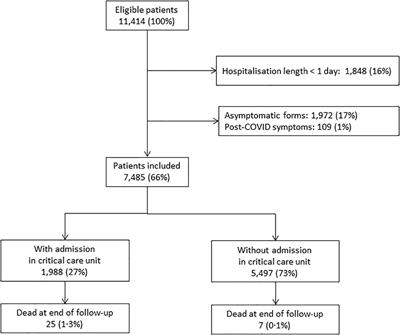 Risk factors for admission to the pediatric critical care unit among children hospitalized with COVID-19 in France